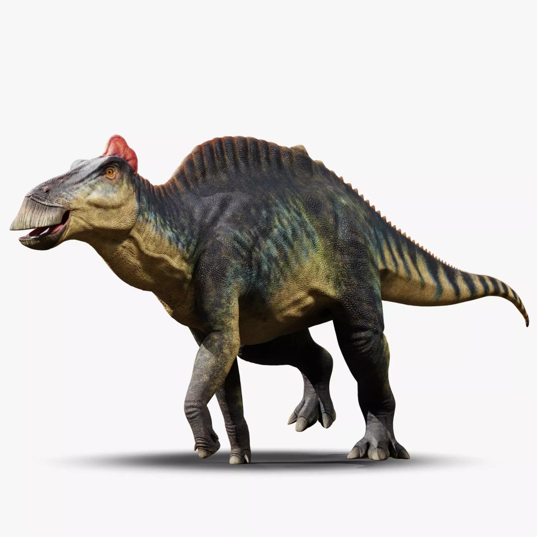 Edmontosaurus 3D Model – Low Poly Rigged Dinosaur with PBR Textures - View 2