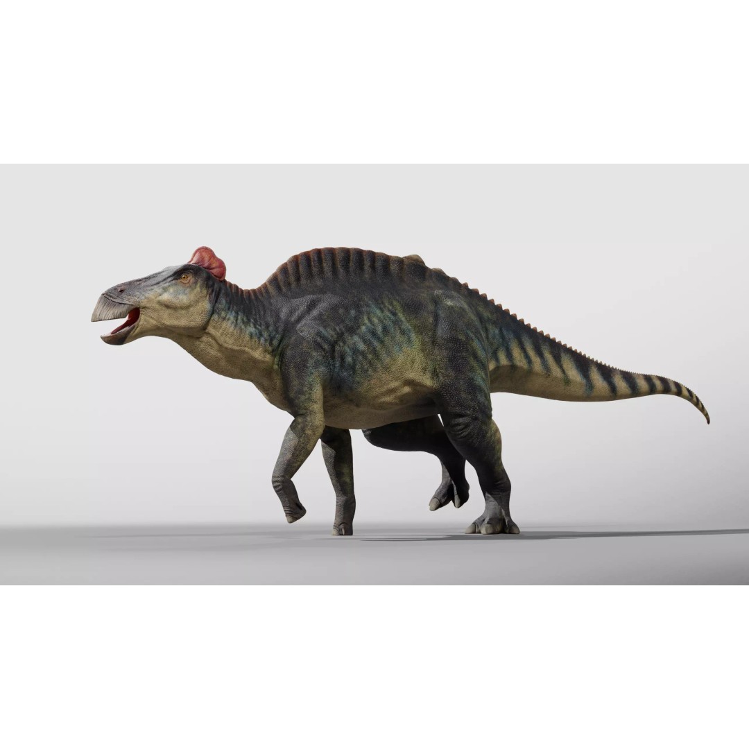 Edmontosaurus 3D Model – Low Poly Rigged Dinosaur with PBR Textures - View 3