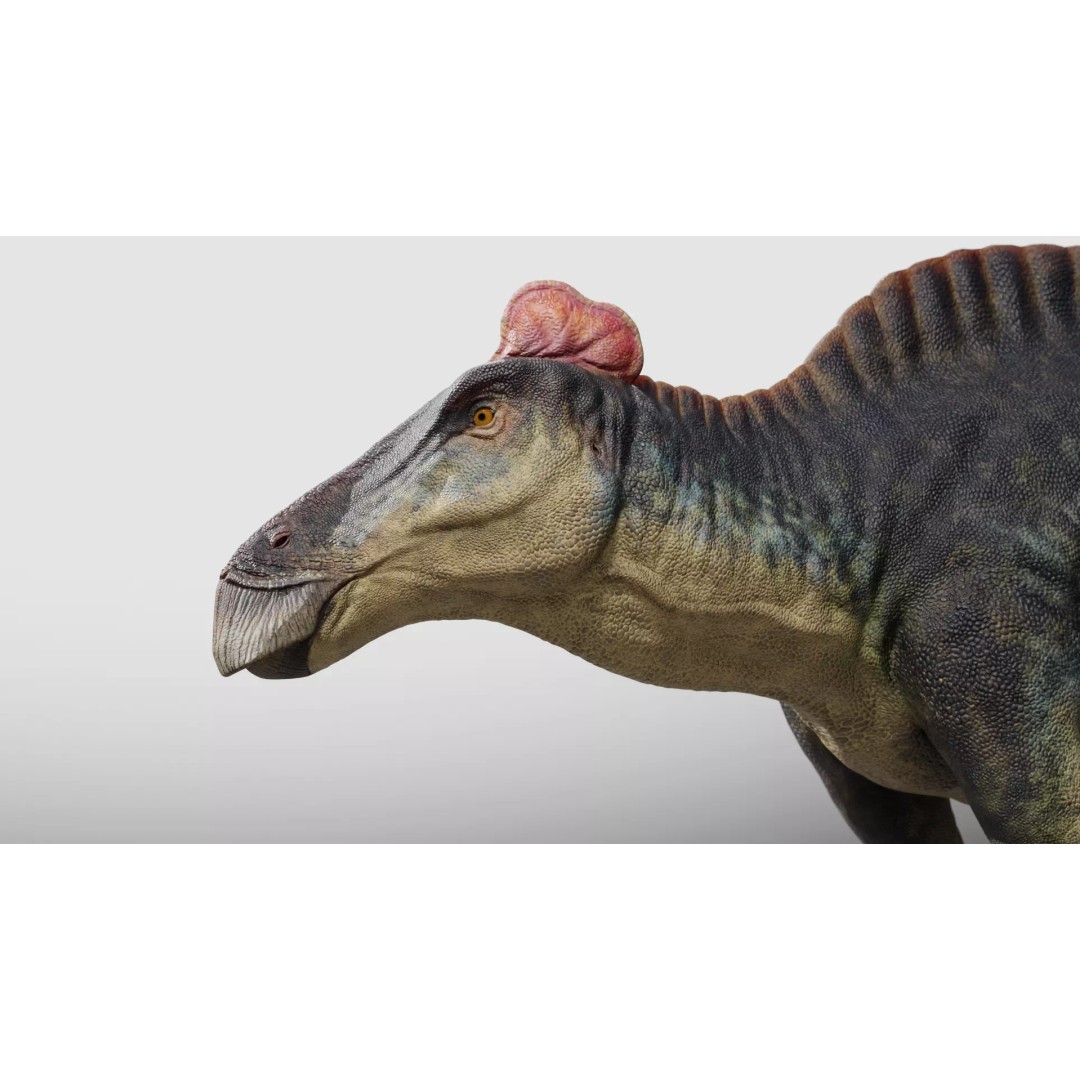 Edmontosaurus 3D Model – Low Poly Rigged Dinosaur with PBR Textures - View 4