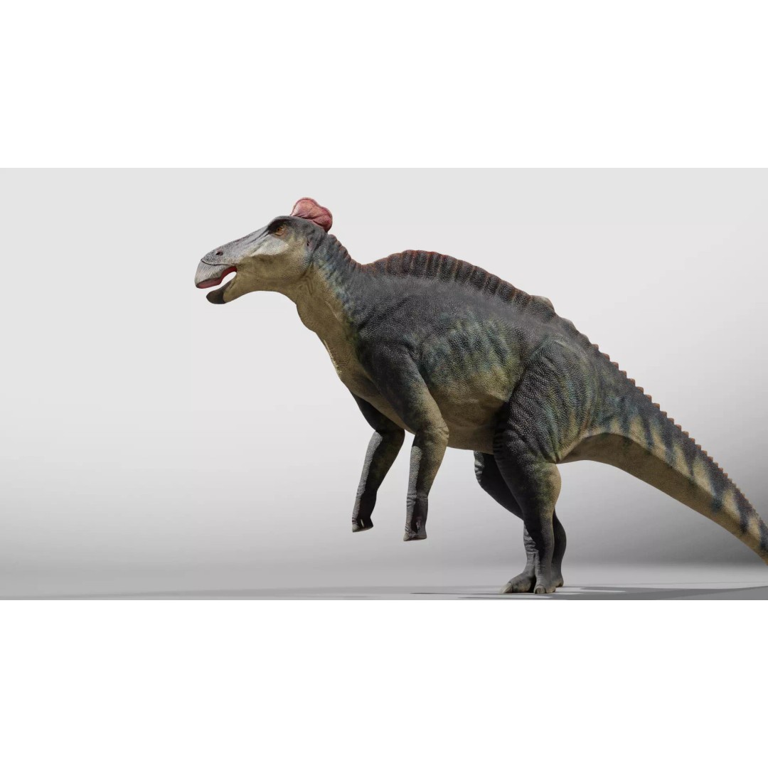 Edmontosaurus 3D Model – Low Poly Rigged Dinosaur with PBR Textures - View 5