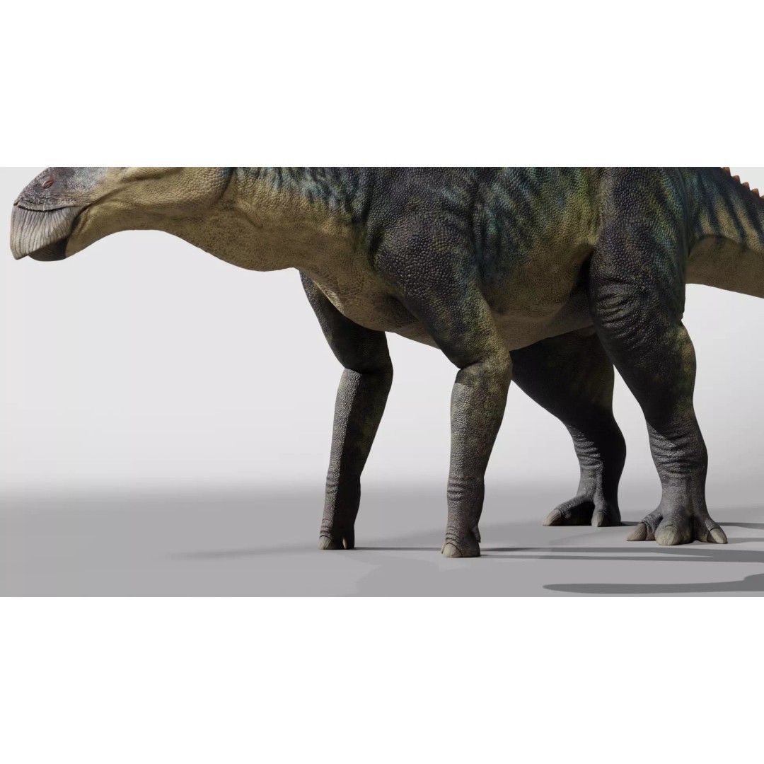 Edmontosaurus 3D Model – Low Poly Rigged Dinosaur with PBR Textures - View 6