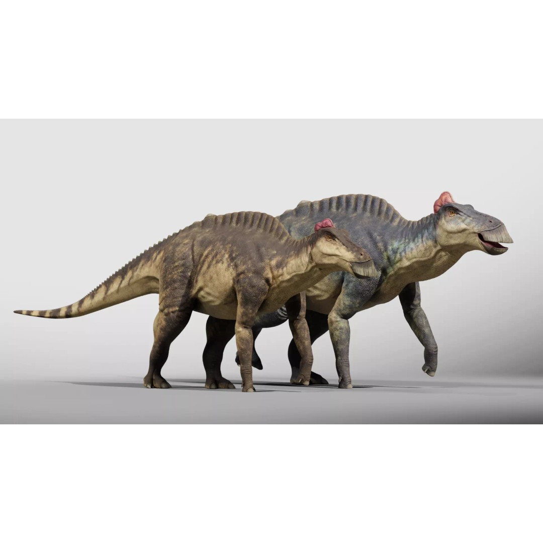 Edmontosaurus 3D Model – Low Poly Rigged Dinosaur with PBR Textures - View 8