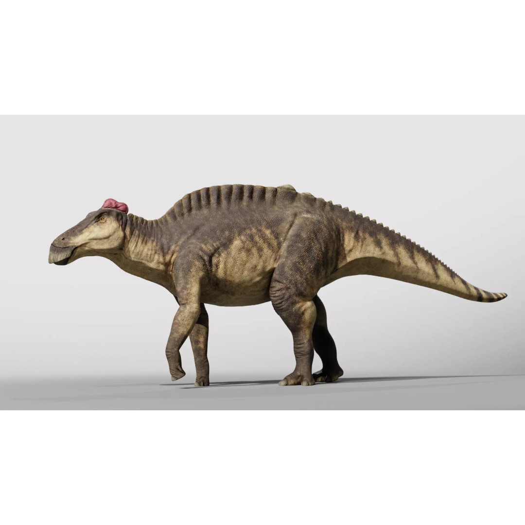 Edmontosaurus 3D Model – Low Poly Rigged Dinosaur with PBR Textures - View 9