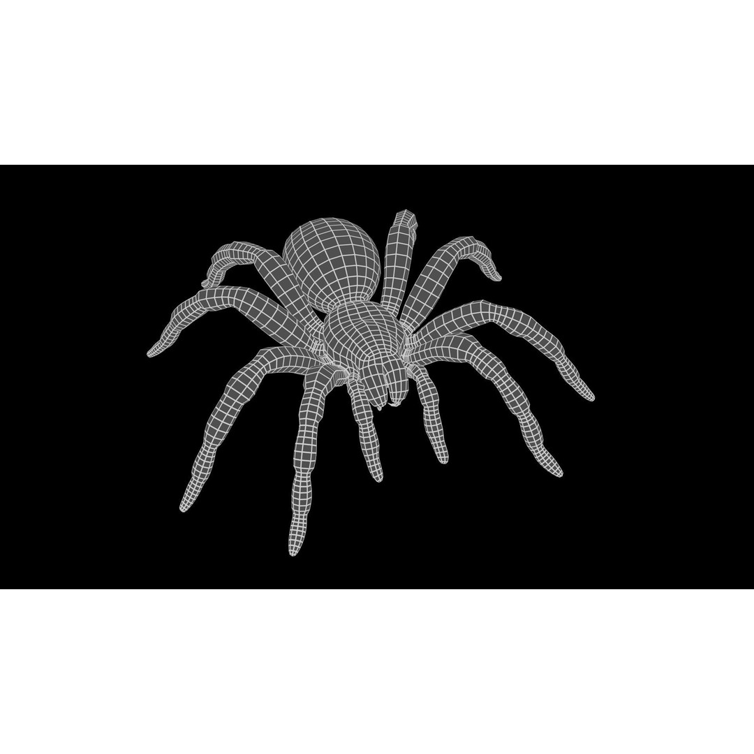 Tarantula 3D Model – Low Poly Rigged Insect with PBR Textures - View 19