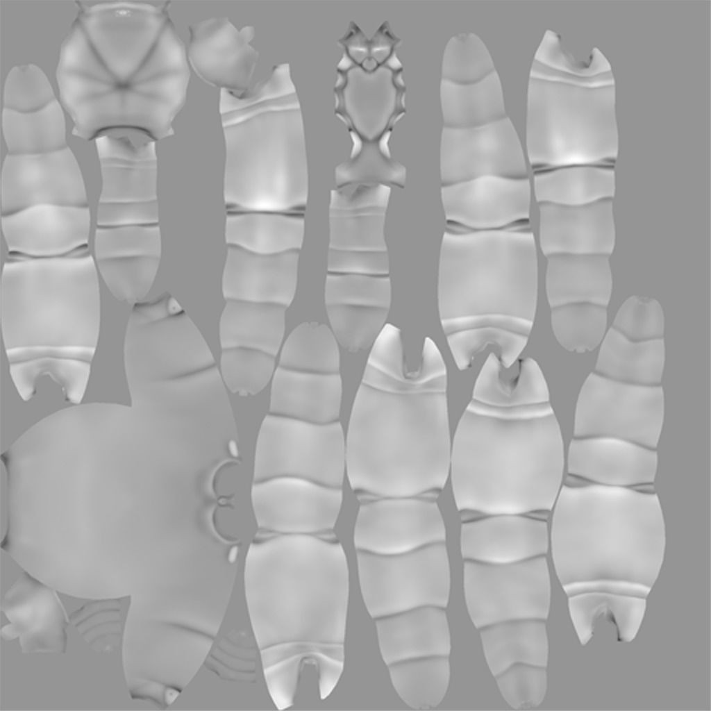 Tarantula 3D Model – Low Poly Rigged Insect with PBR Textures - View 22