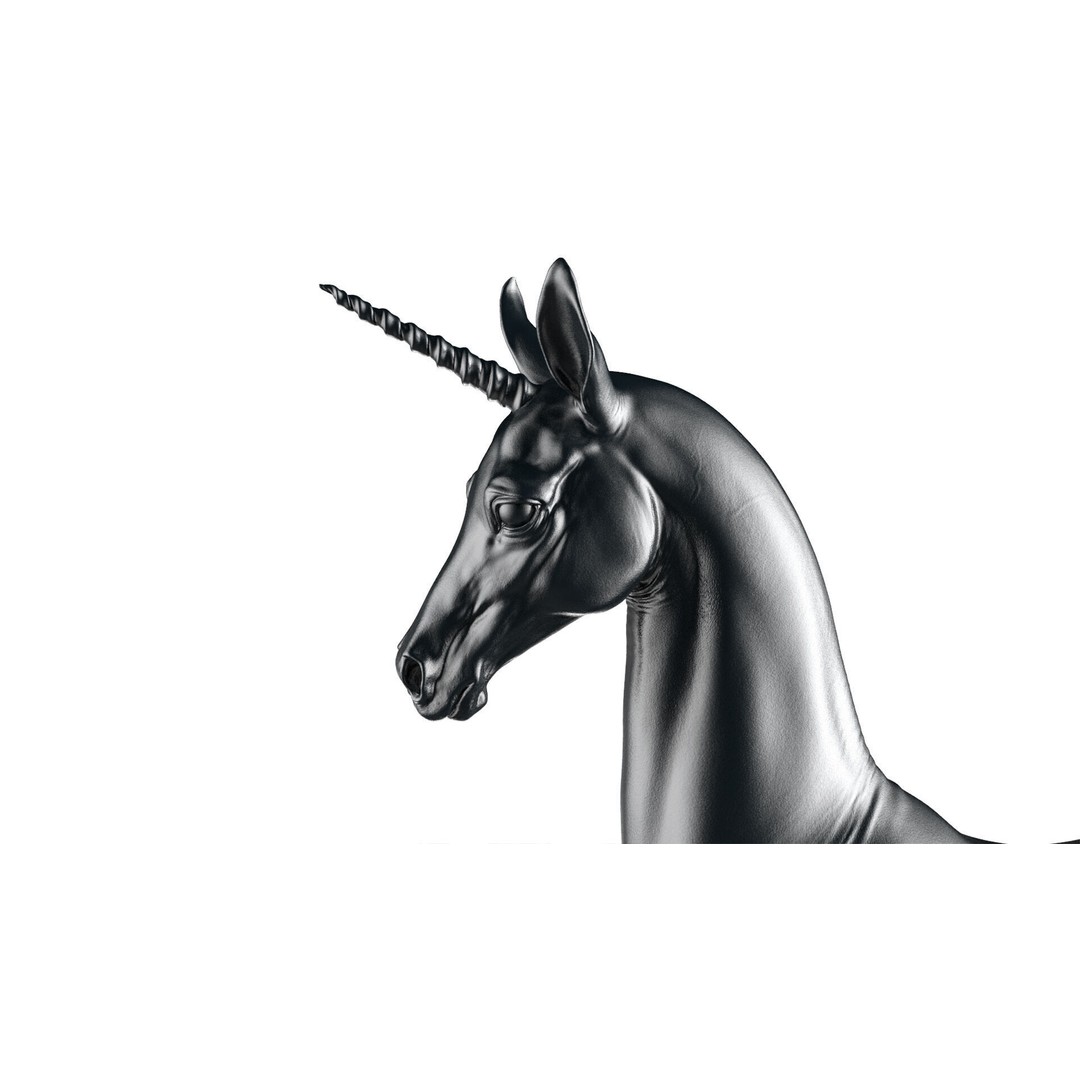 Horse Unicorn 3D Model – High Poly T-Pose Asset, FBX/OBJ - View 11