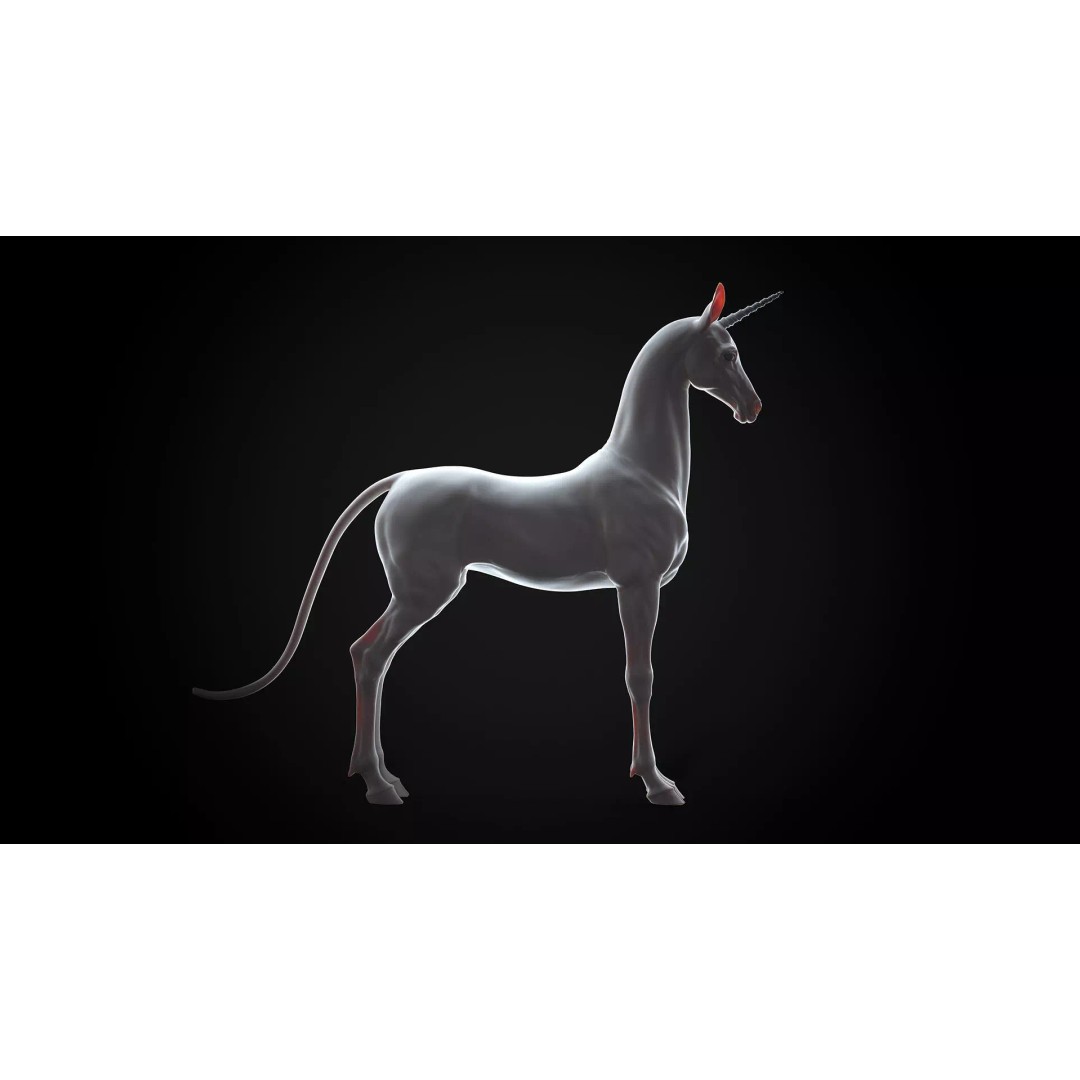 Horse Unicorn 3D Model – High Poly T-Pose Asset, FBX/OBJ - View 2