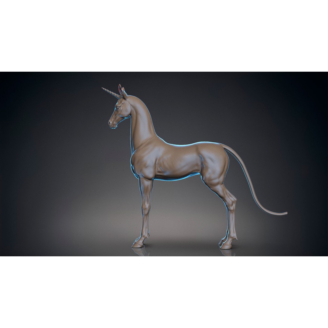 Horse Unicorn 3D Model – High Poly T-Pose Asset, FBX/OBJ - View 4