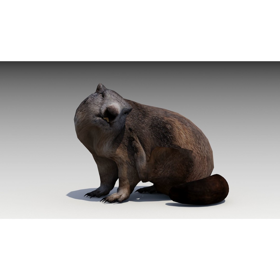 Marmot Beaver 3D Model – Low Poly Game Asset with Animations - View 10