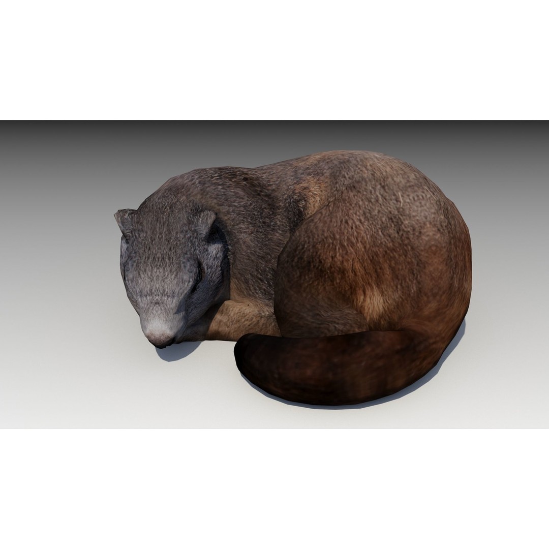 Marmot Beaver 3D Model – Low Poly Game Asset with Animations - View 8