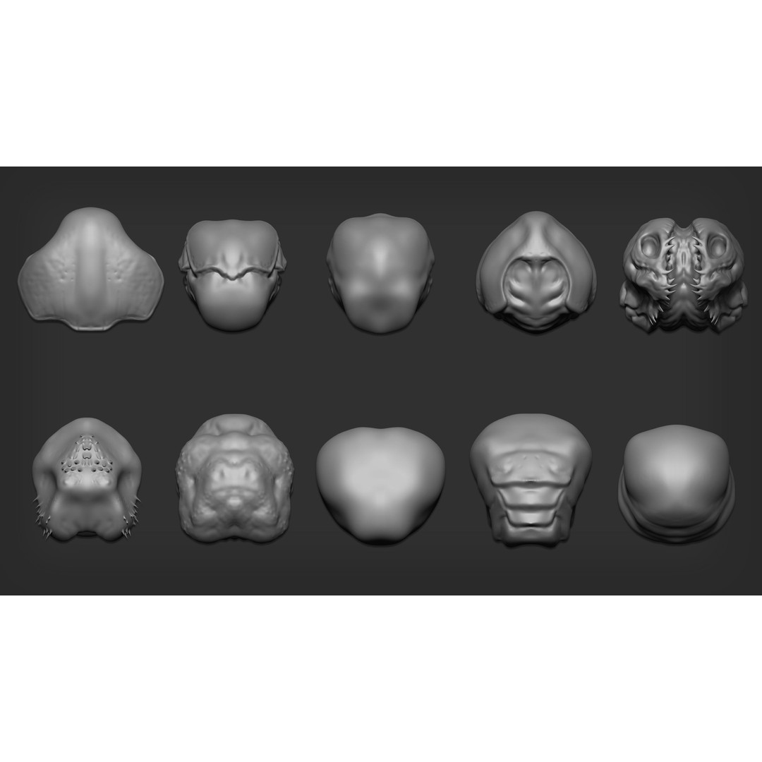 Insectoid Creature 3D Model – Mega Pack for Zbrush and Blender