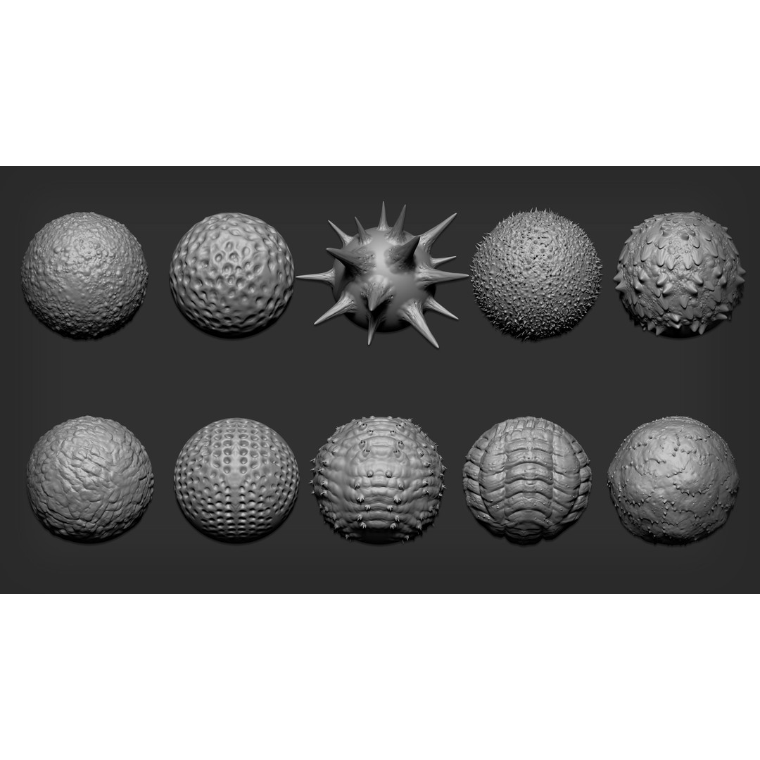 Insectoid Creature 3D Model – Mega Pack for Zbrush and Blender - View 10