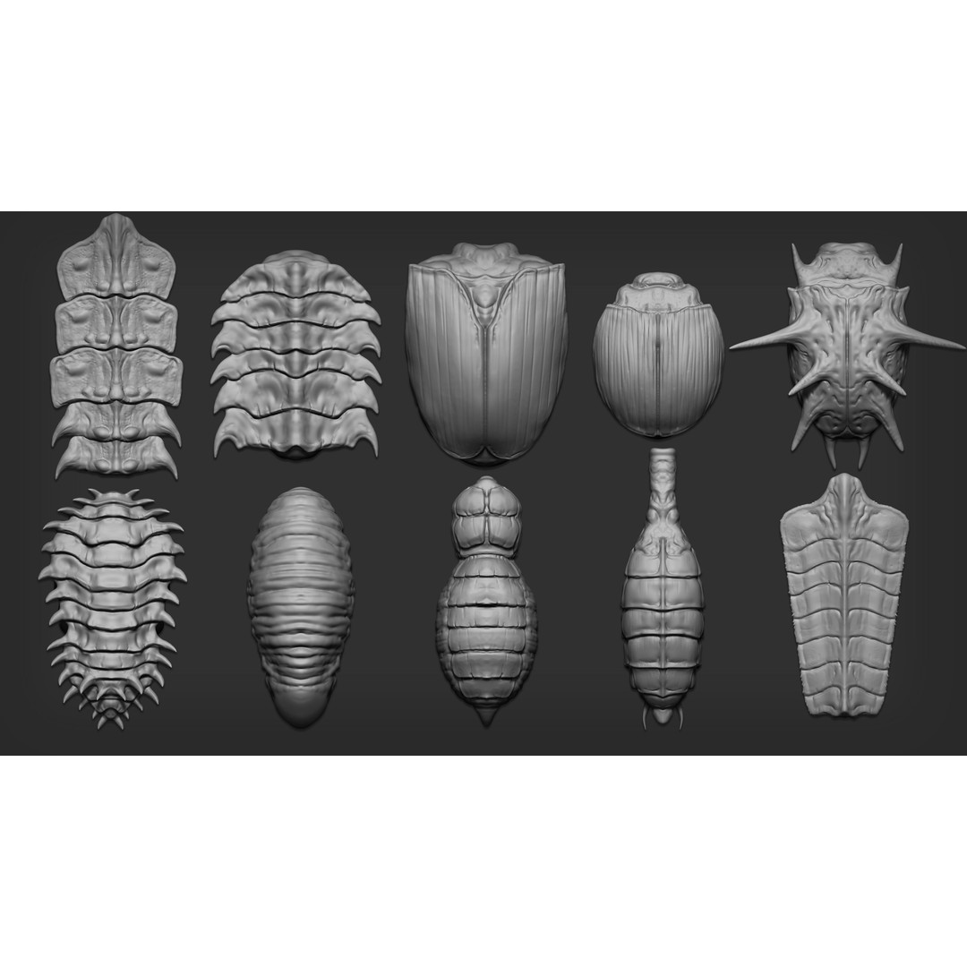 Insectoid Creature 3D Model – Mega Pack for Zbrush and Blender - View 11