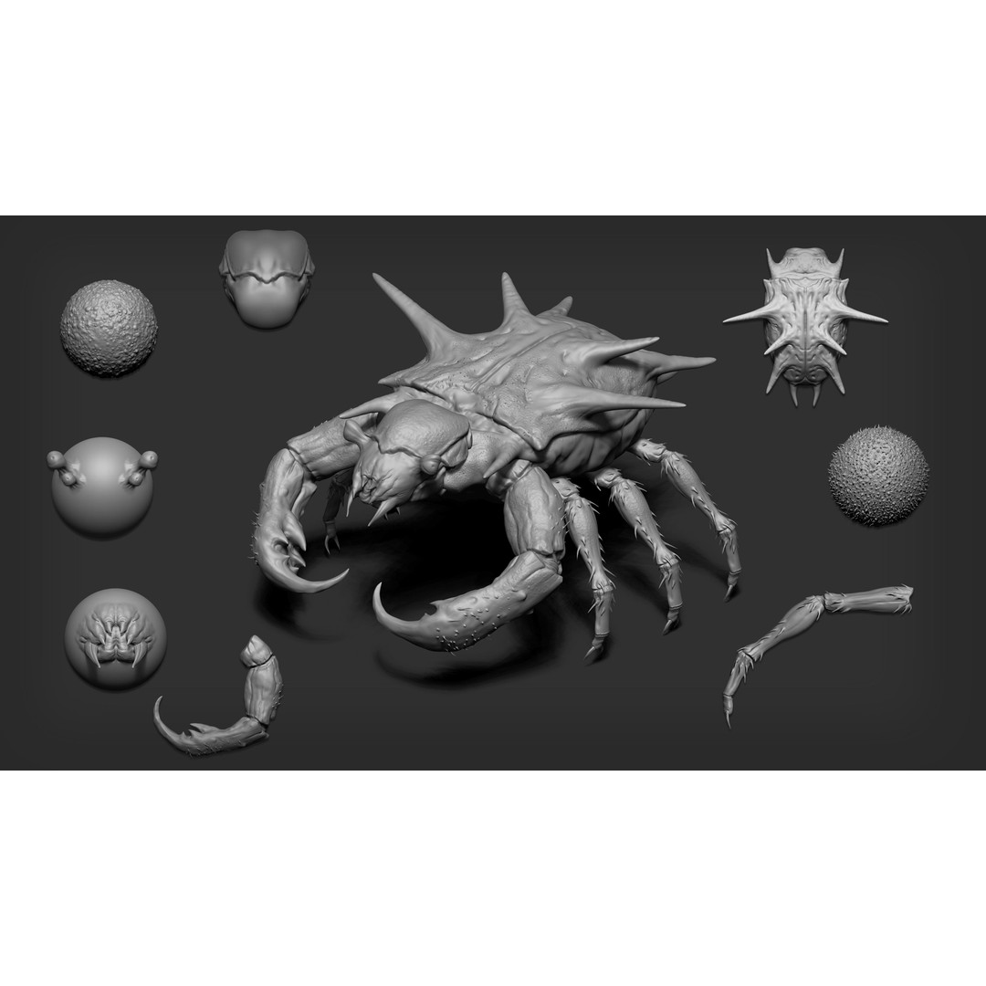 Insectoid Creature 3D Model – Mega Pack for Zbrush and Blender - View 4