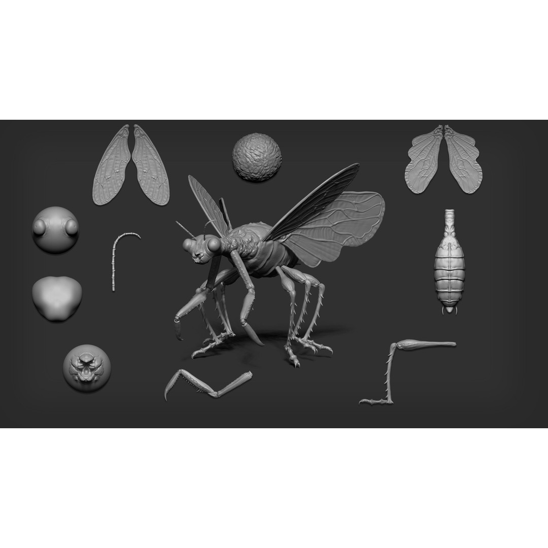 Insectoid Creature 3D Model – Mega Pack for Zbrush and Blender - View 6