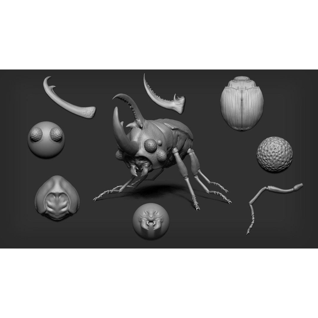 Insectoid Creature 3D Model – Mega Pack for Zbrush and Blender - View 7