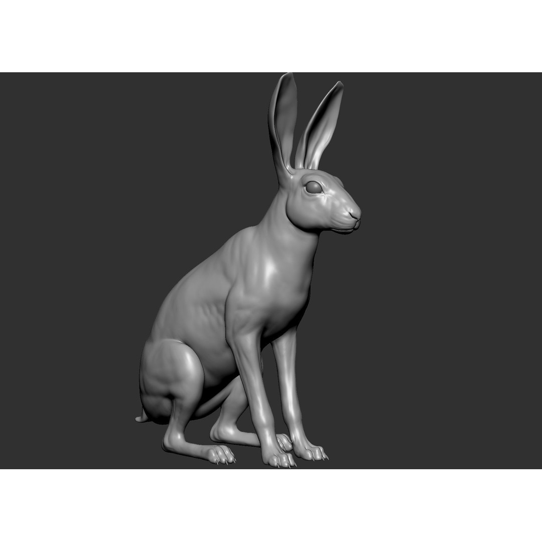 Wild Animal Collection 3D Model – Realistic Sculpted Animals, OBJ & ZTL