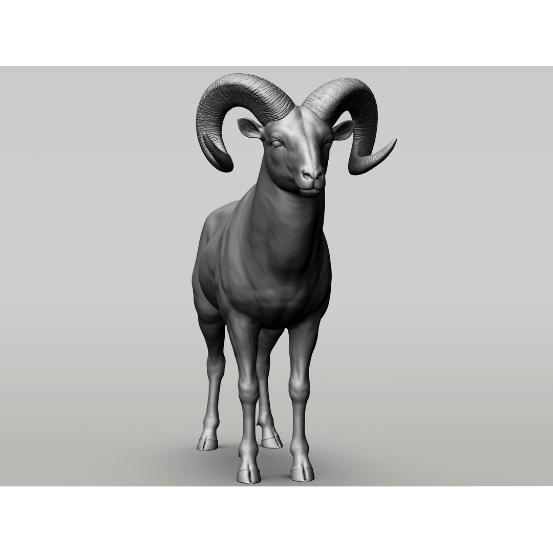 Wild Animal Collection 3D Model – Realistic Sculpted Animals, OBJ & ZTL - View 11