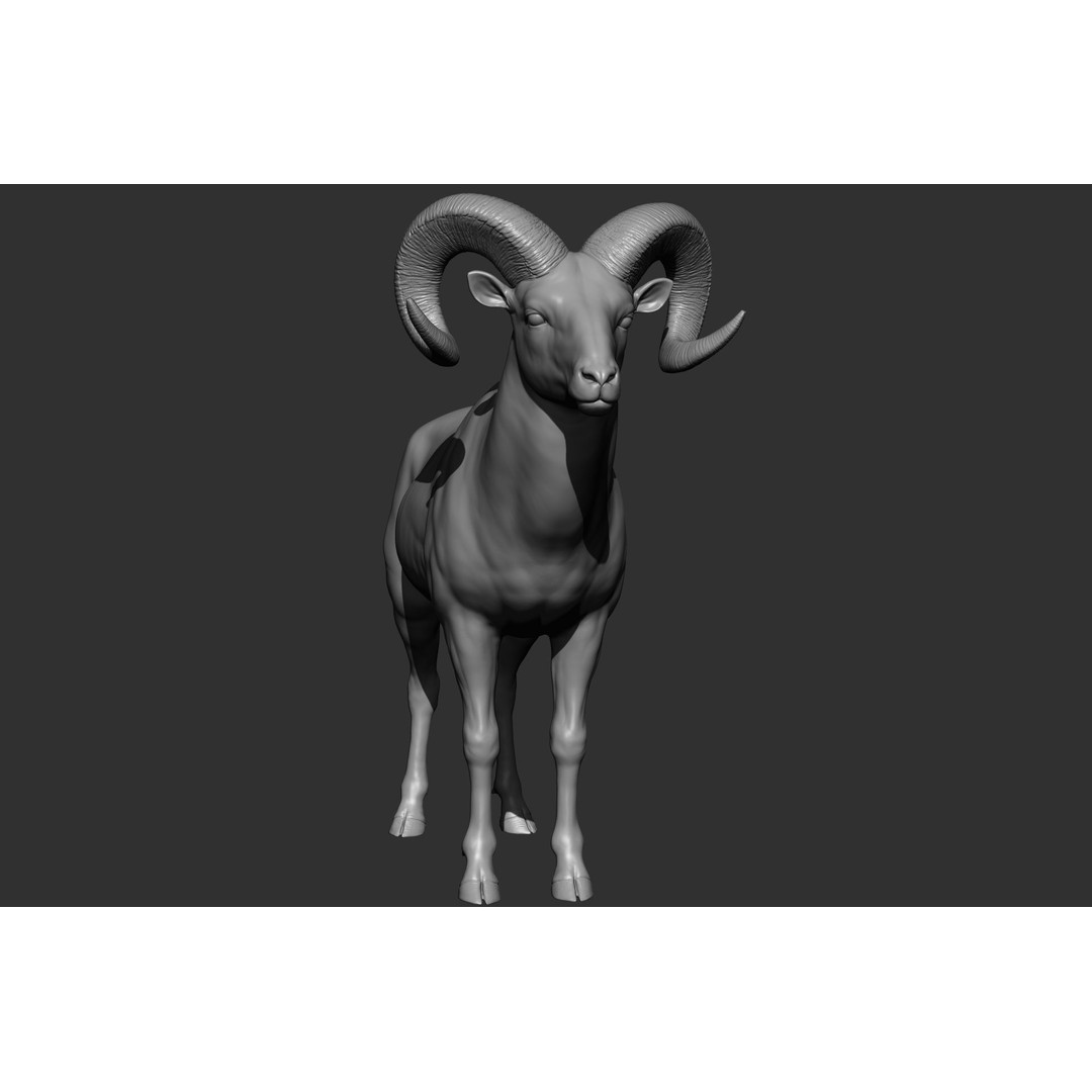 Wild Animal Collection 3D Model – Realistic Sculpted Animals, OBJ & ZTL - View 12