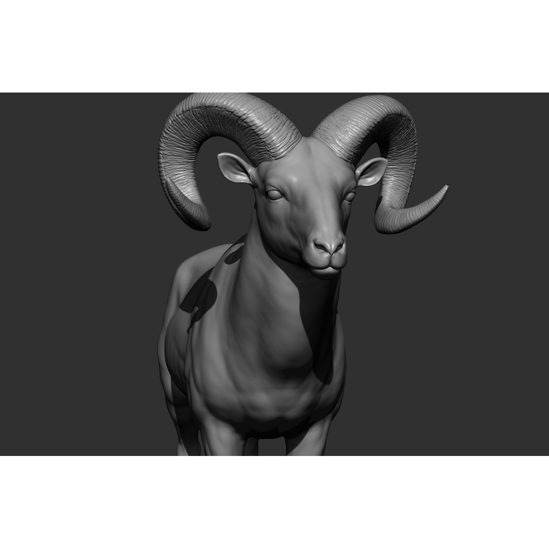 Wild Animal Collection 3D Model – Realistic Sculpted Animals, OBJ & ZTL - View 13