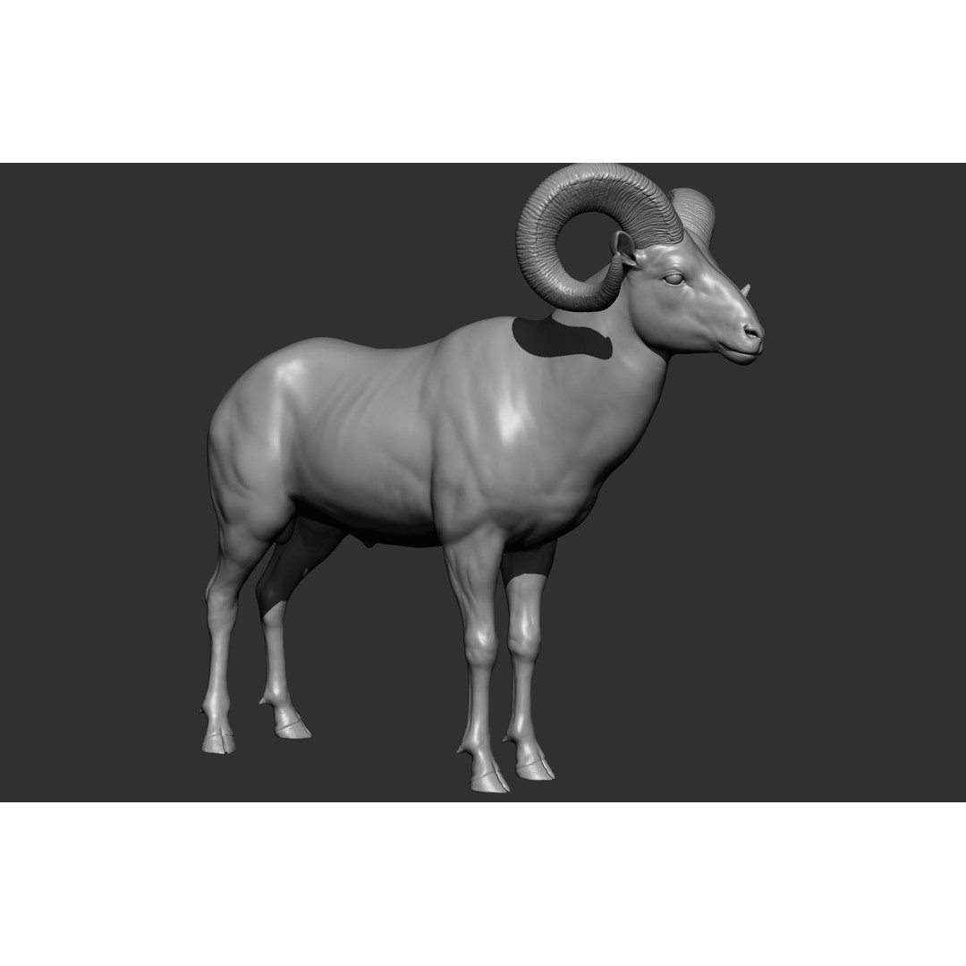 Wild Animal Collection 3D Model – Realistic Sculpted Animals, OBJ & ZTL - View 14