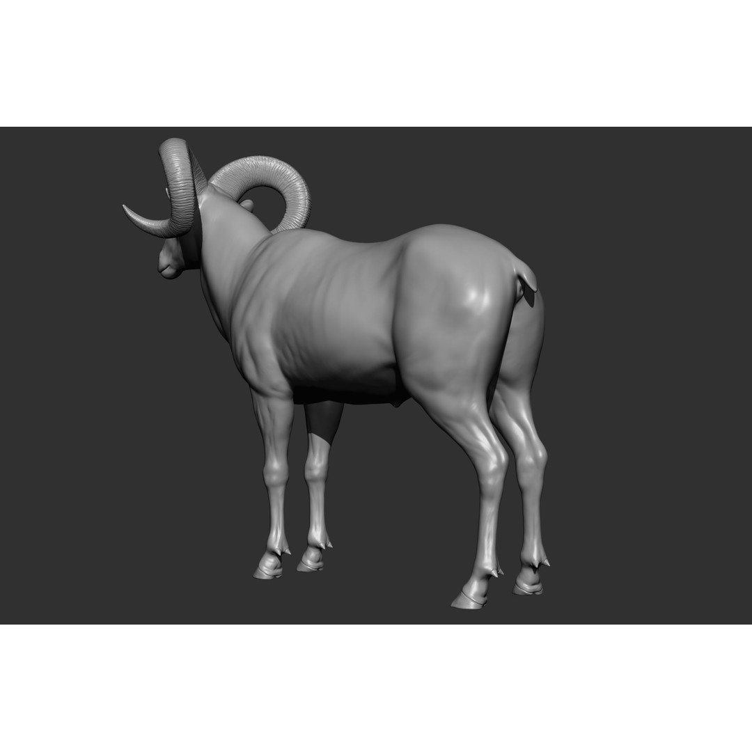 Wild Animal Collection 3D Model – Realistic Sculpted Animals, OBJ & ZTL - View 15