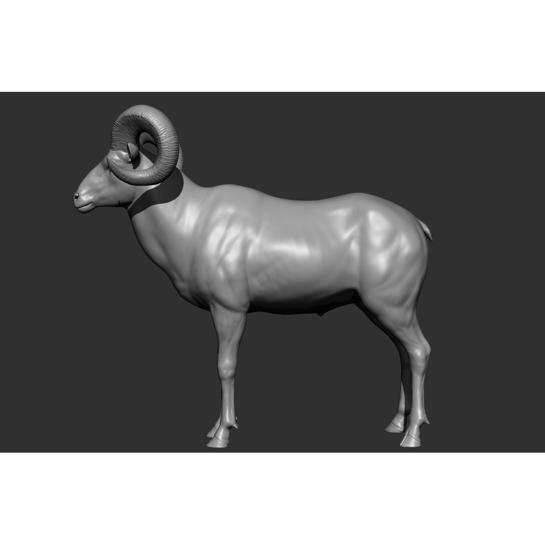Wild Animal Collection 3D Model – Realistic Sculpted Animals, OBJ & ZTL - View 16