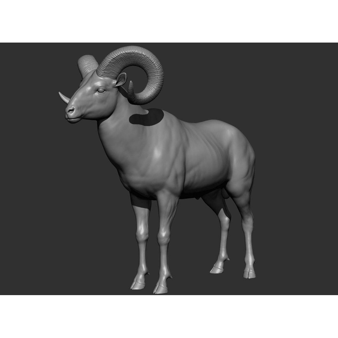 Wild Animal Collection 3D Model – Realistic Sculpted Animals, OBJ & ZTL - View 17