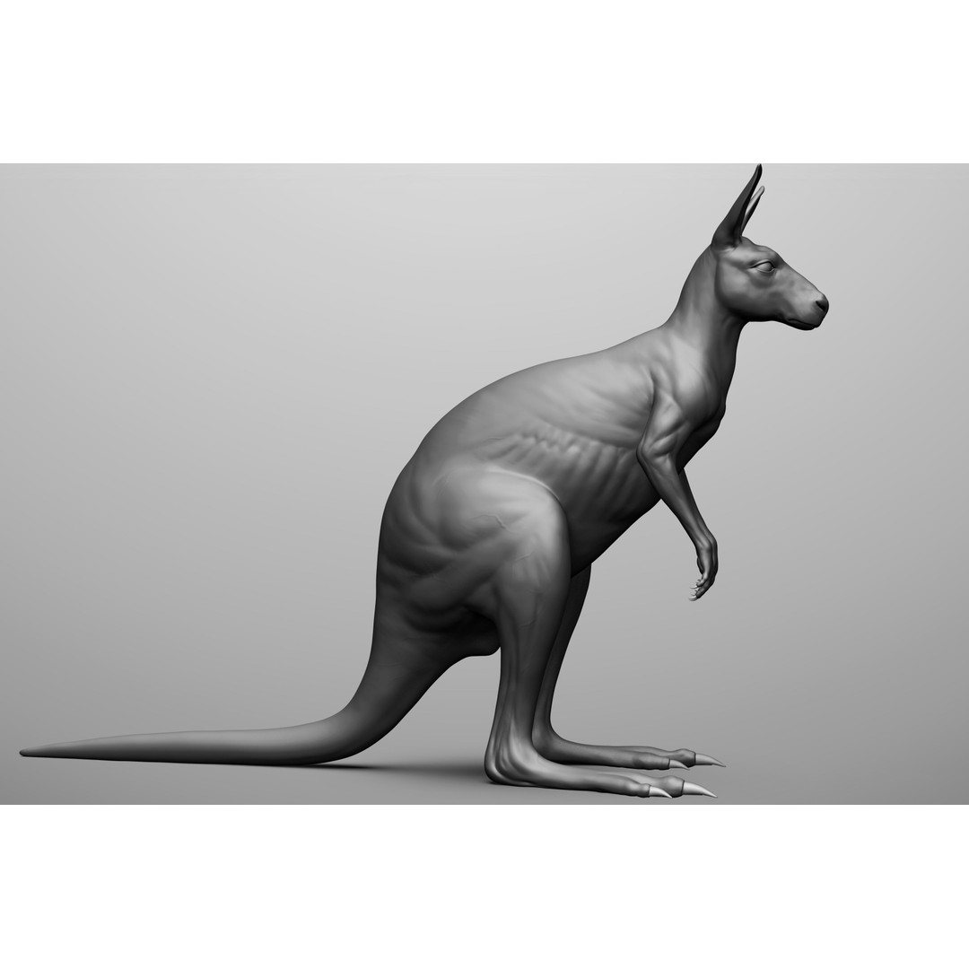 Wild Animal Collection 3D Model – Realistic Sculpted Animals, OBJ & ZTL - View 18