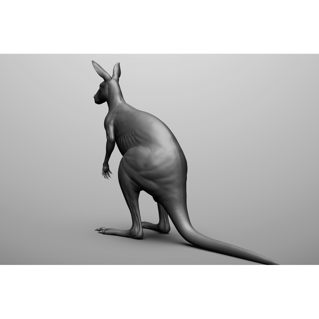Wild Animal Collection 3D Model – Realistic Sculpted Animals, OBJ & ZTL - View 19
