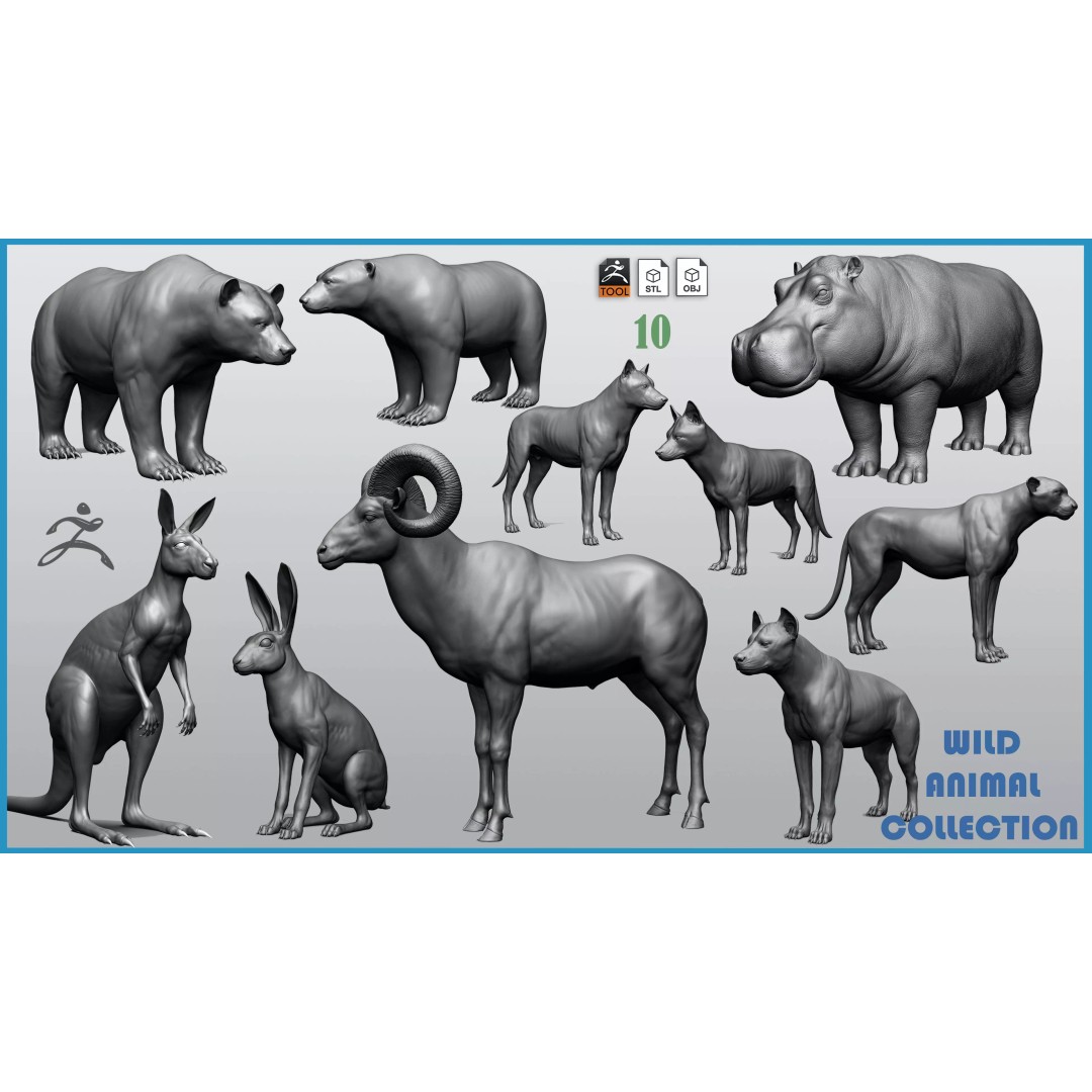 Wild Animal Collection 3D Model – Realistic Sculpted Animals, OBJ & ZTL - View 2
