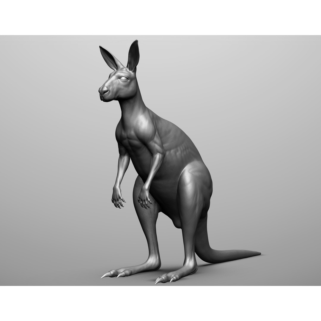 Wild Animal Collection 3D Model – Realistic Sculpted Animals, OBJ & ZTL - View 20