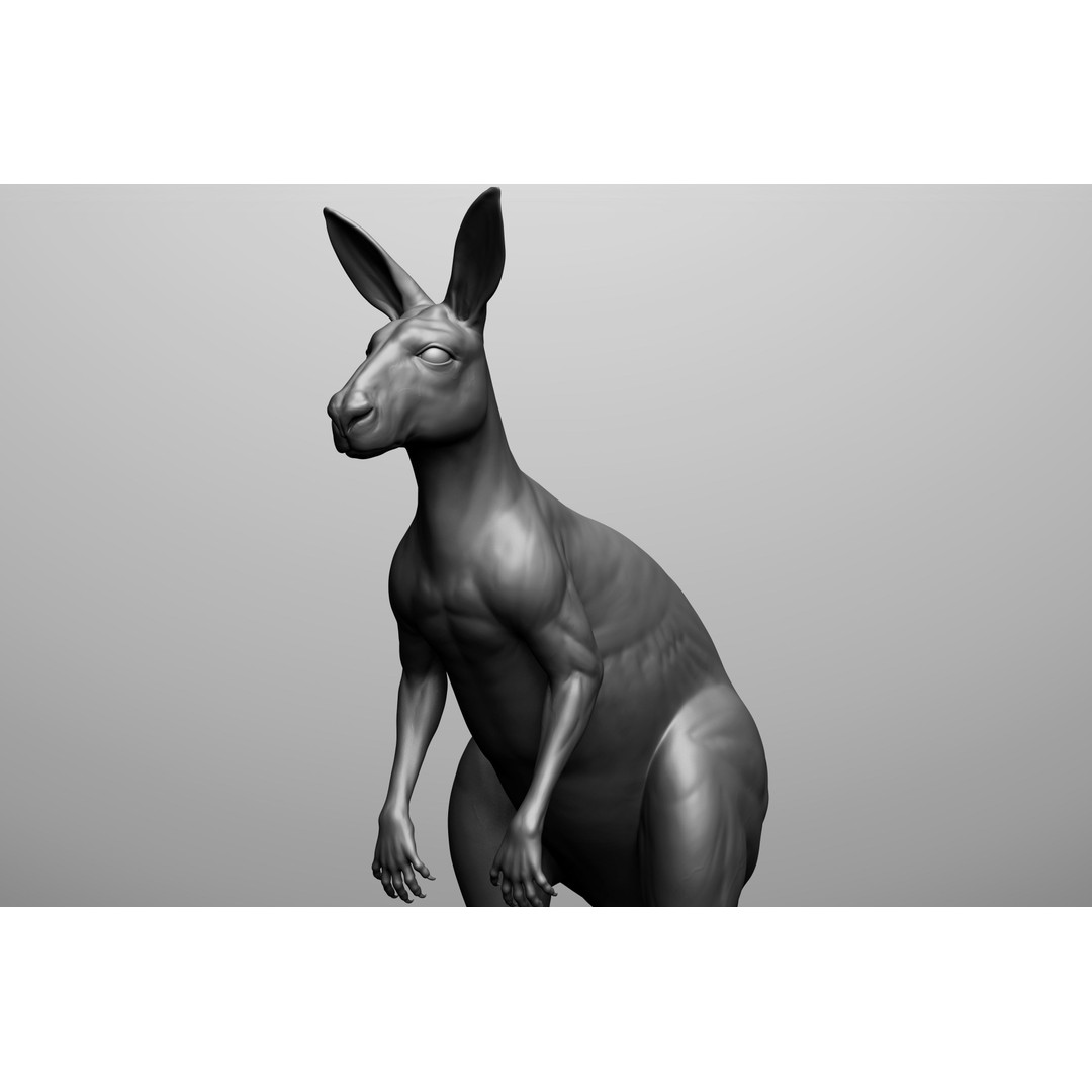 Wild Animal Collection 3D Model – Realistic Sculpted Animals, OBJ & ZTL - View 22