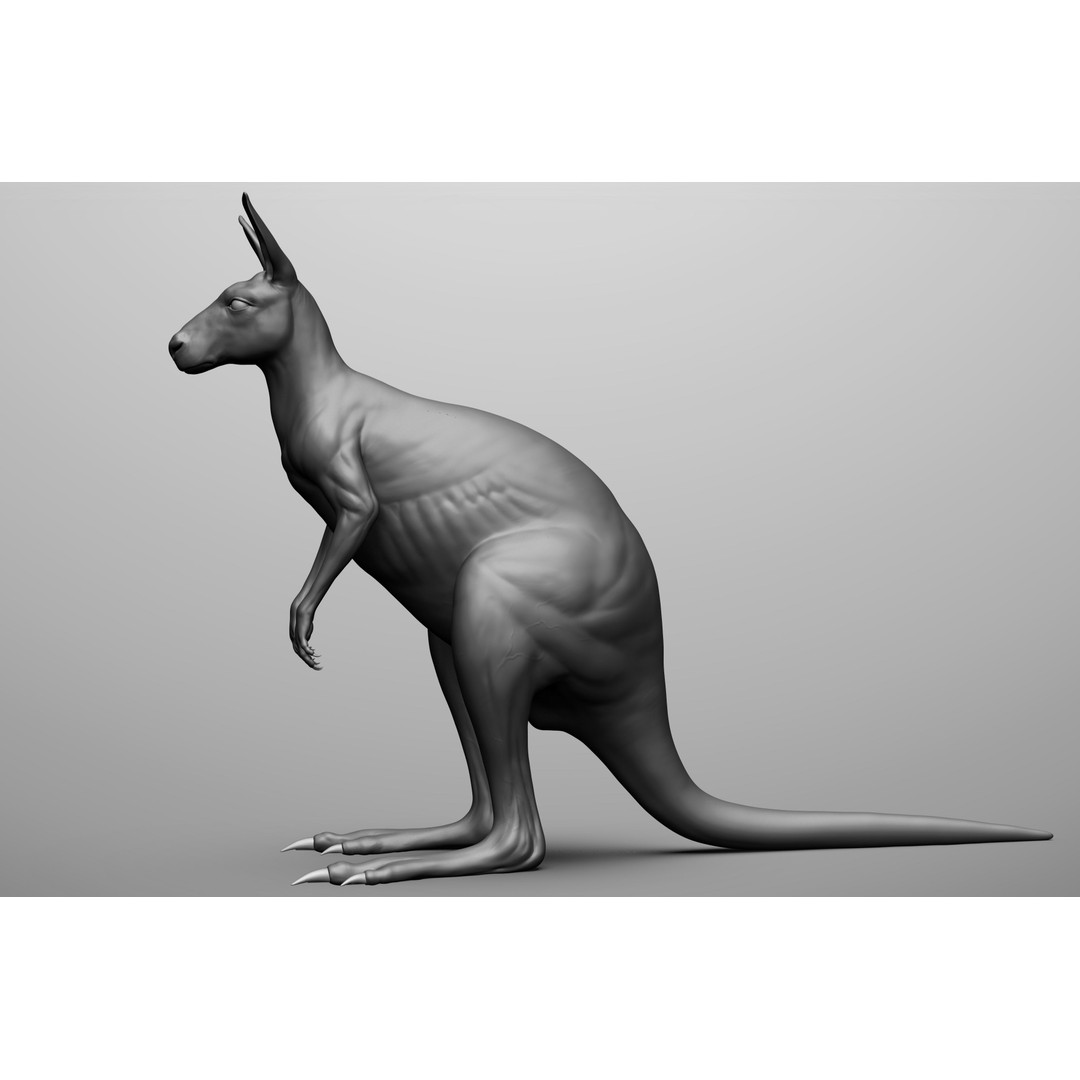 Wild Animal Collection 3D Model – Realistic Sculpted Animals, OBJ & ZTL - View 23