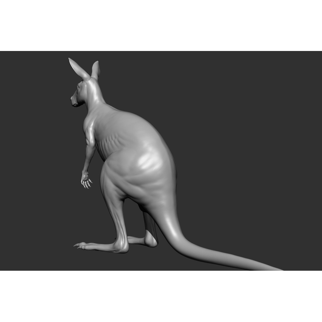 Wild Animal Collection 3D Model – Realistic Sculpted Animals, OBJ & ZTL - View 25