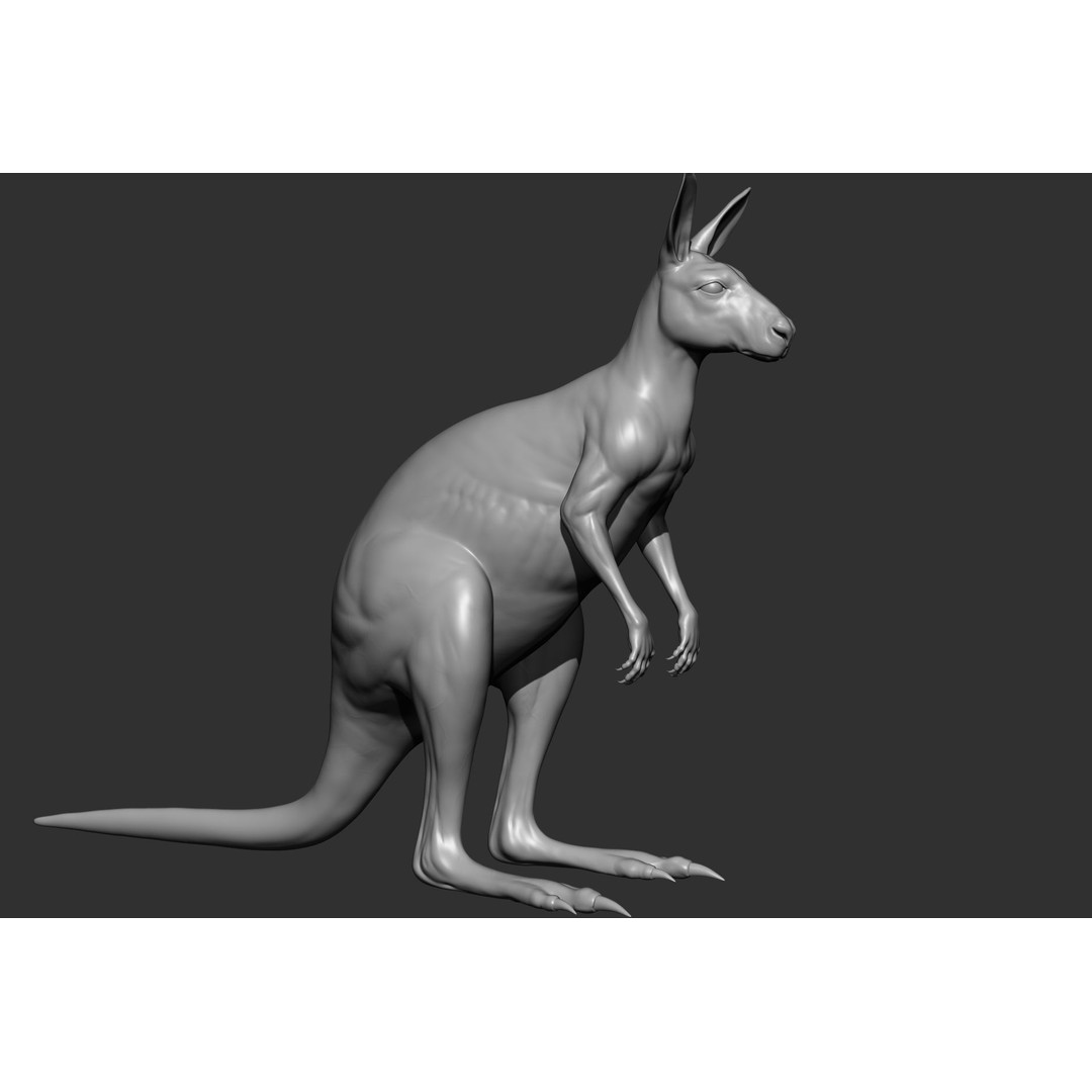 Wild Animal Collection 3D Model – Realistic Sculpted Animals, OBJ & ZTL - View 26