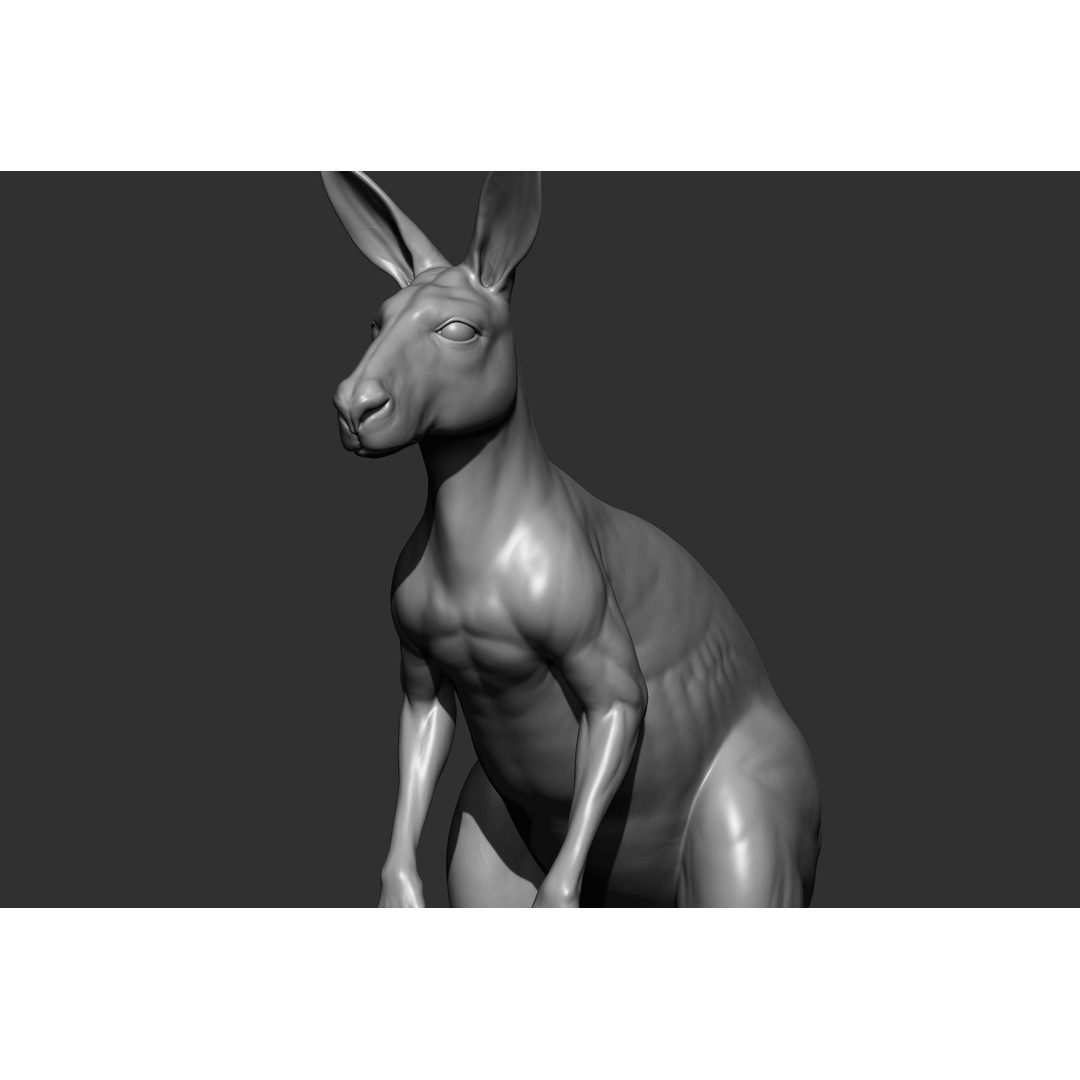Wild Animal Collection 3D Model – Realistic Sculpted Animals, OBJ & ZTL - View 27