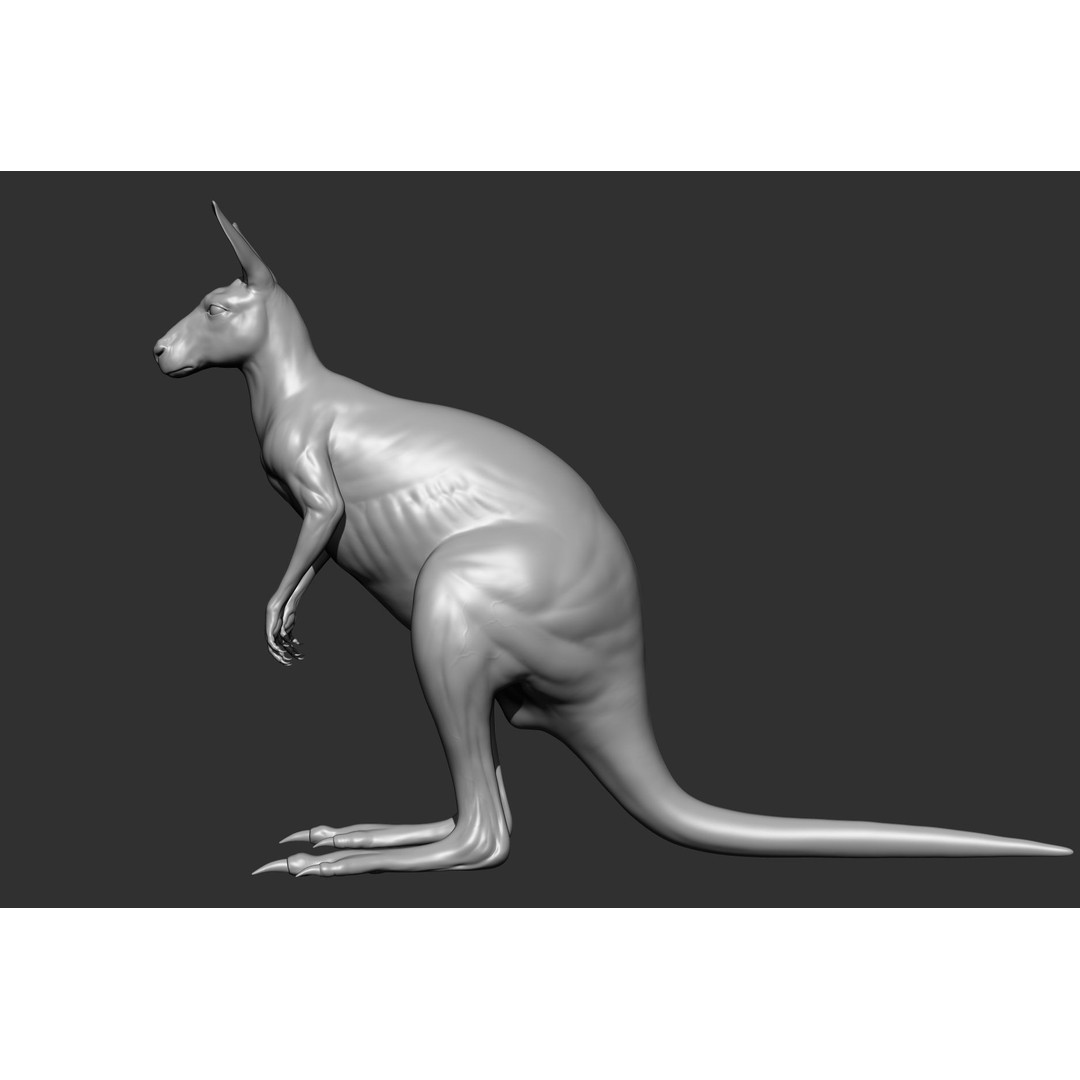 Wild Animal Collection 3D Model – Realistic Sculpted Animals, OBJ & ZTL - View 28
