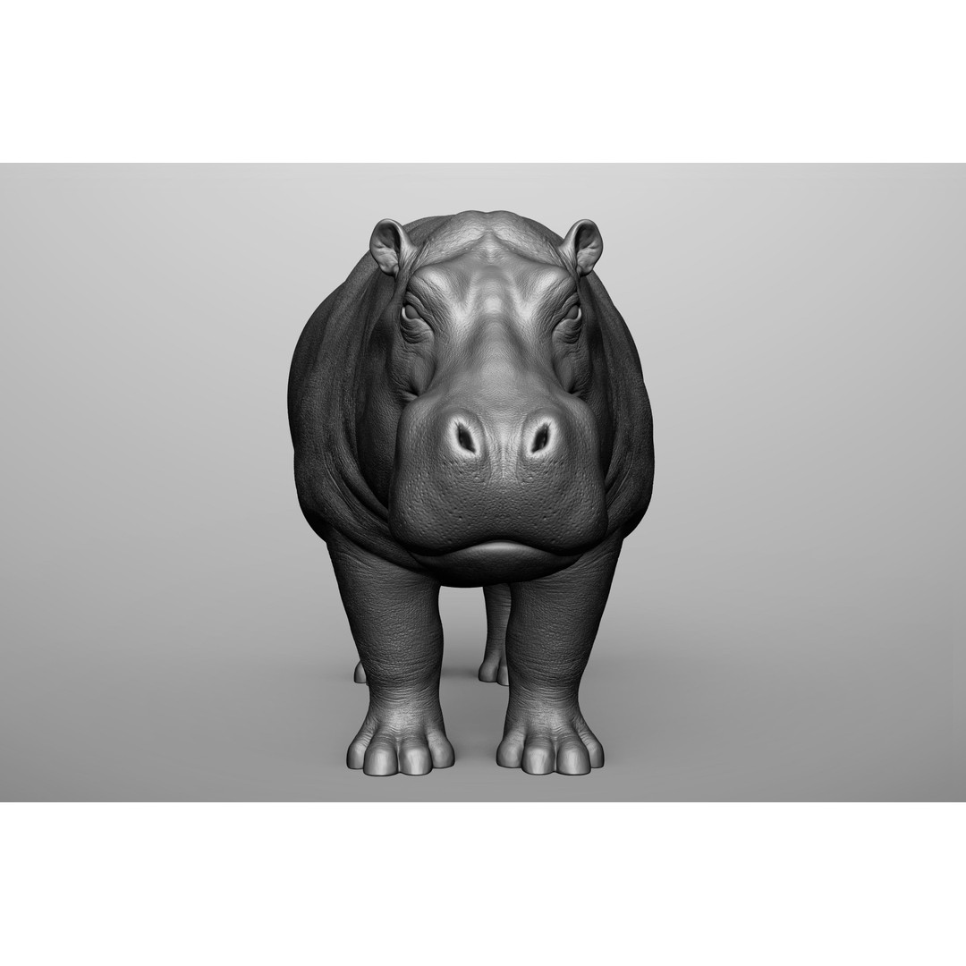 Wild Animal Collection 3D Model – Realistic Sculpted Animals, OBJ & ZTL - View 29