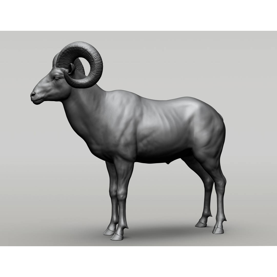 Wild Animal Collection 3D Model – Realistic Sculpted Animals, OBJ & ZTL - View 3