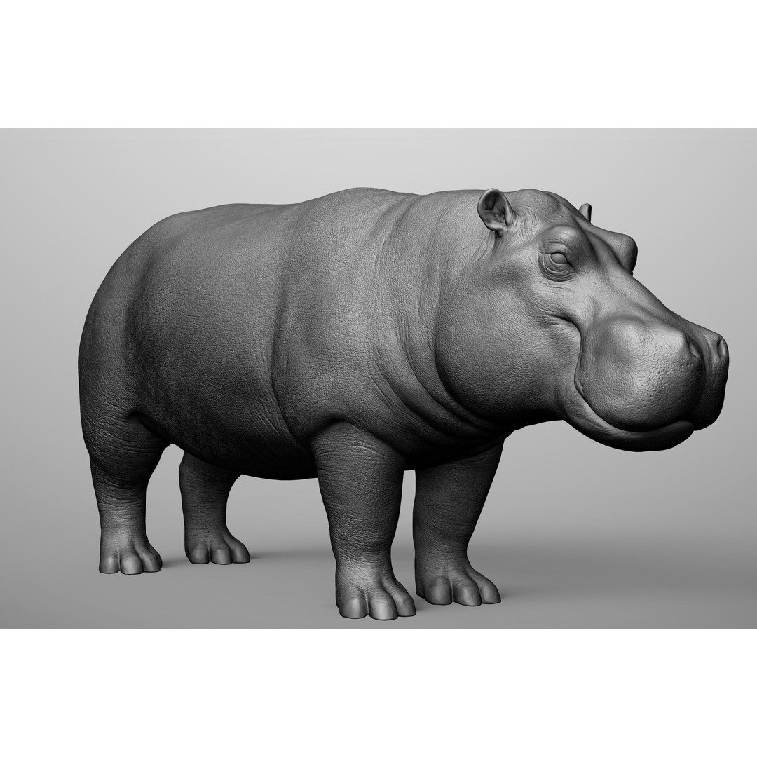 Wild Animal Collection 3D Model – Realistic Sculpted Animals, OBJ & ZTL - View 30