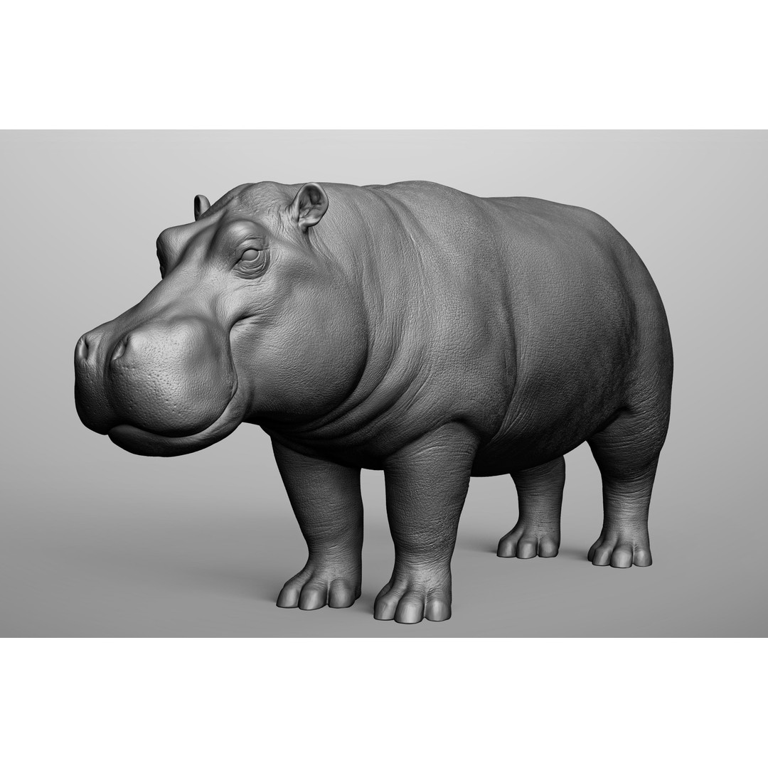 Wild Animal Collection 3D Model – Realistic Sculpted Animals, OBJ & ZTL - View 31