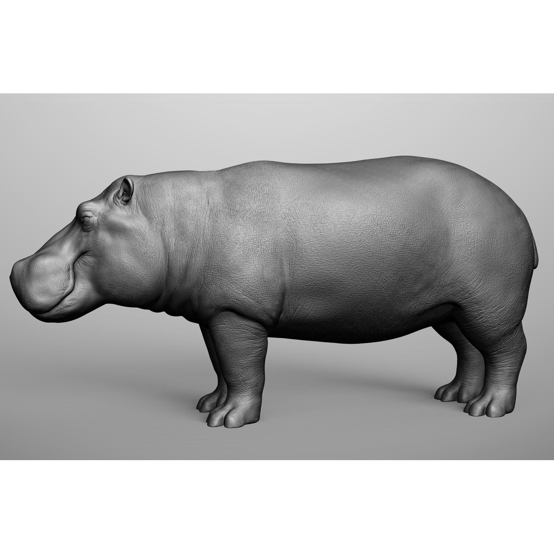 Wild Animal Collection 3D Model – Realistic Sculpted Animals, OBJ & ZTL - View 32