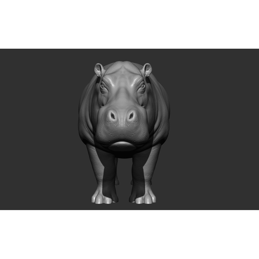Wild Animal Collection 3D Model – Realistic Sculpted Animals, OBJ & ZTL - View 33