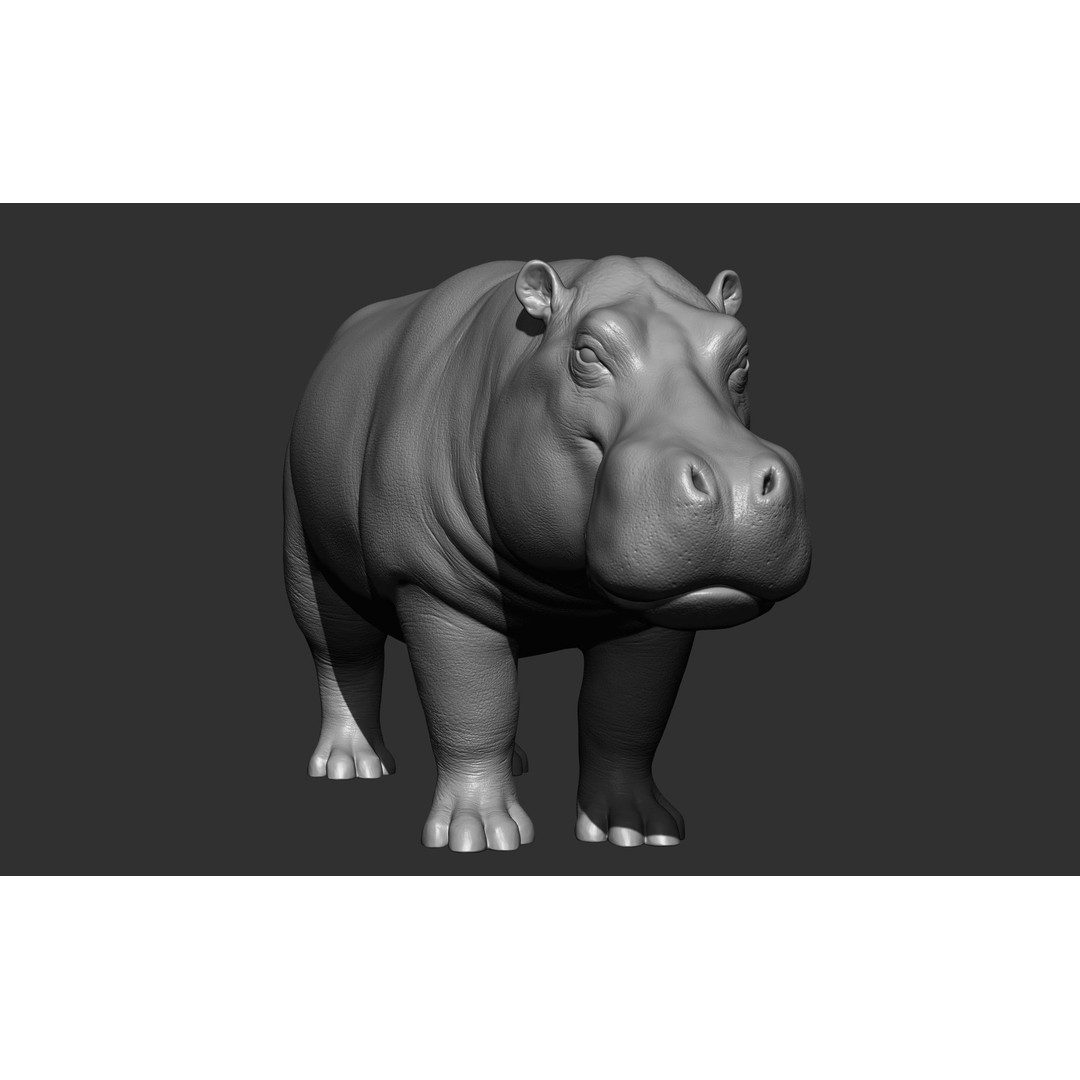 Wild Animal Collection 3D Model – Realistic Sculpted Animals, OBJ & ZTL - View 34