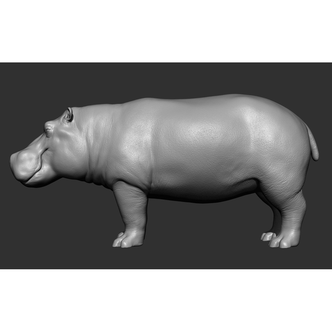 Wild Animal Collection 3D Model – Realistic Sculpted Animals, OBJ & ZTL - View 36
