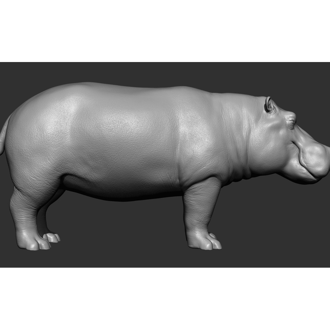 Wild Animal Collection 3D Model – Realistic Sculpted Animals, OBJ & ZTL - View 38