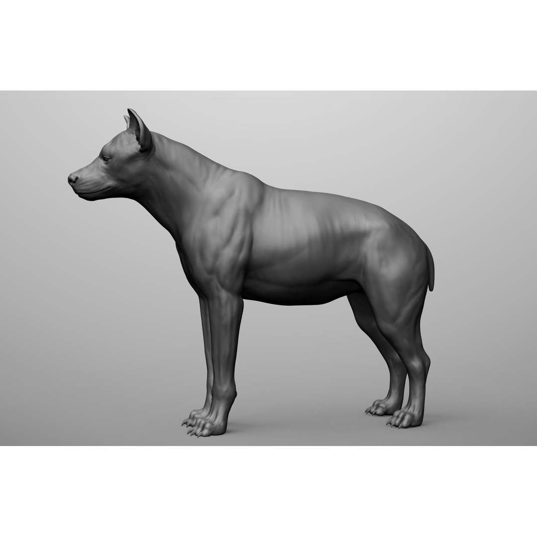 Wild Animal Collection 3D Model – Realistic Sculpted Animals, OBJ & ZTL - View 39