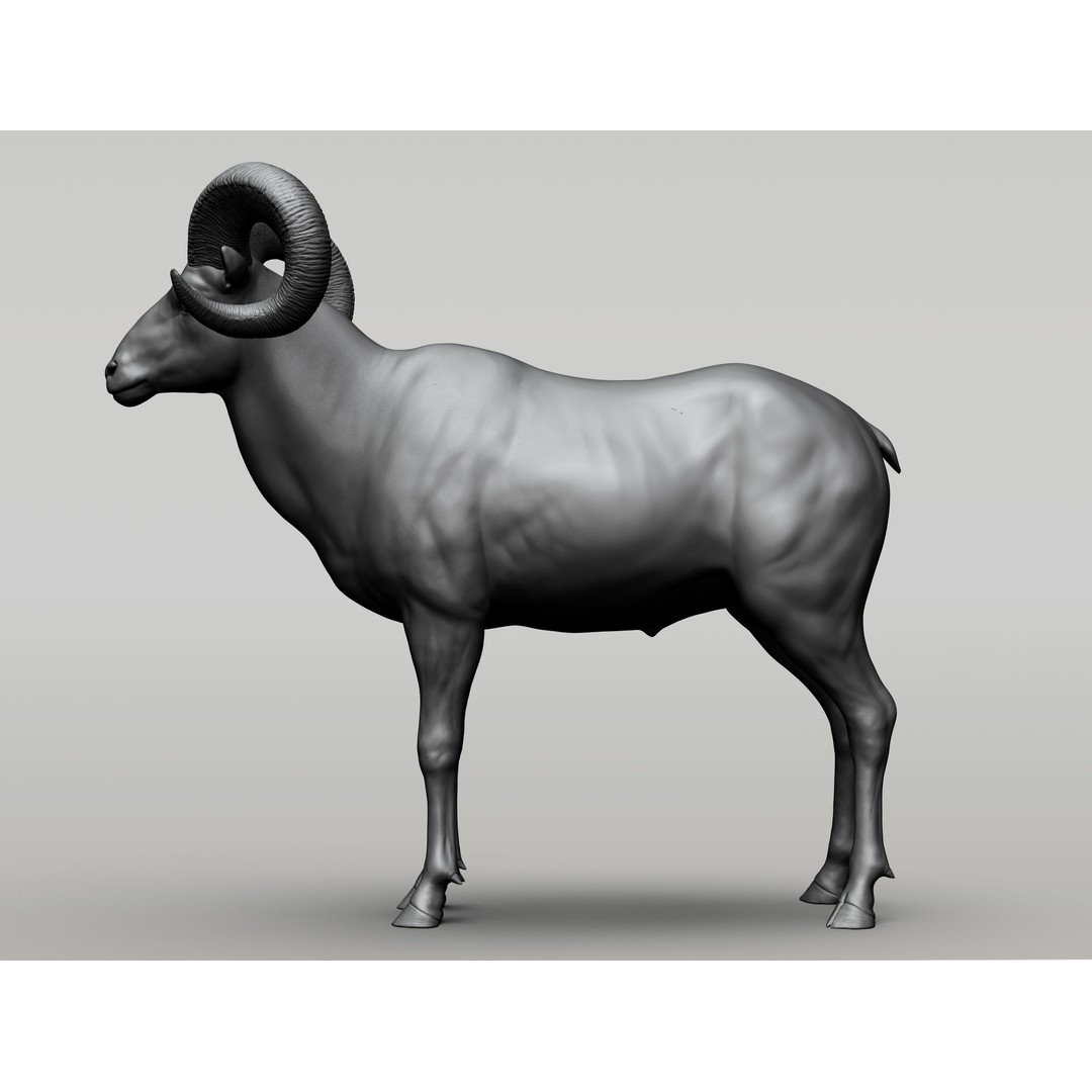 Wild Animal Collection 3D Model – Realistic Sculpted Animals, OBJ & ZTL - View 4