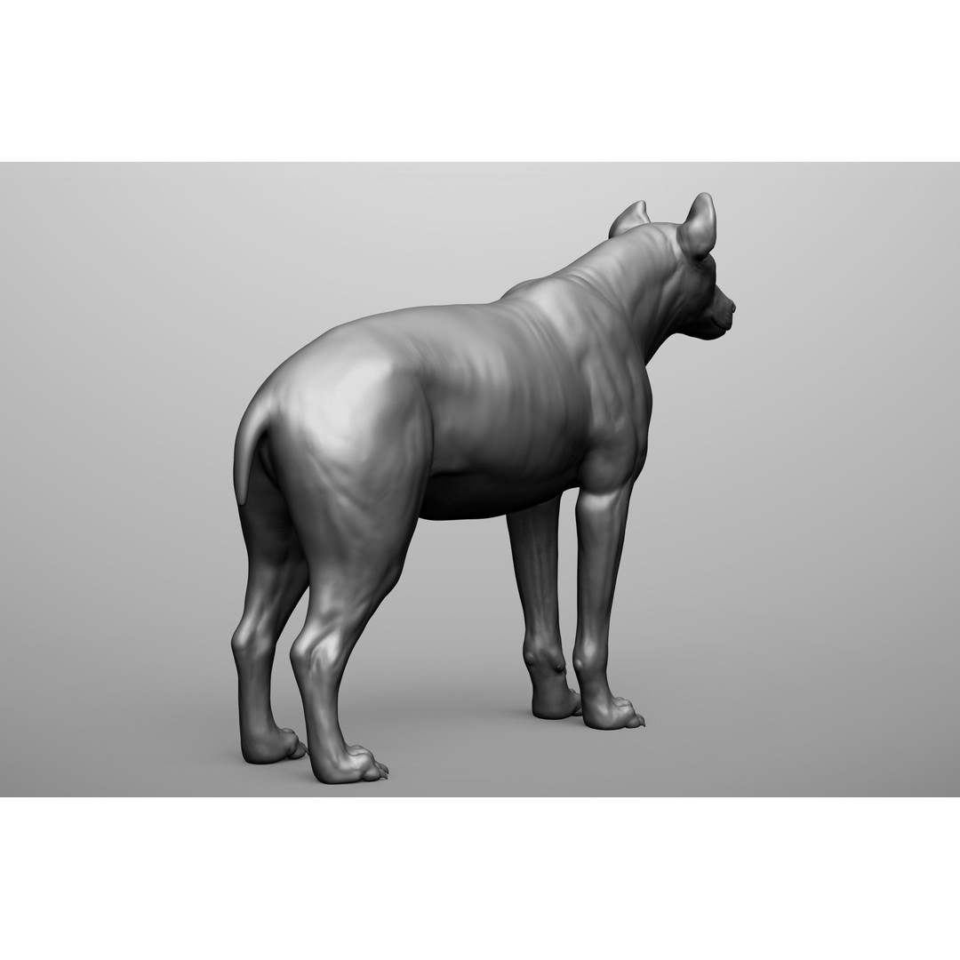 Wild Animal Collection 3D Model – Realistic Sculpted Animals, OBJ & ZTL - View 42